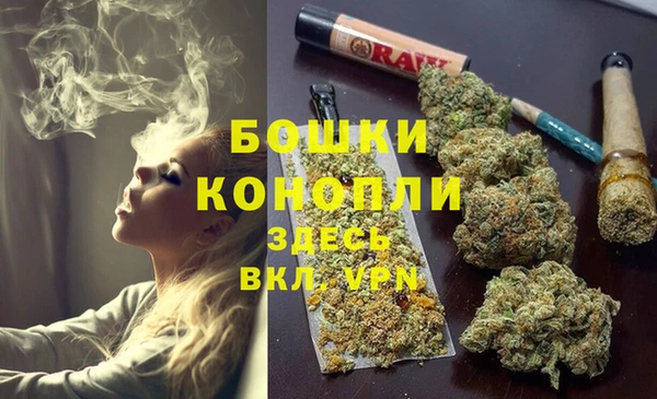 молекула духа Касимов