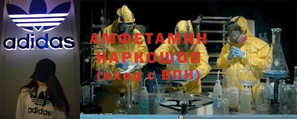сатива Карталы