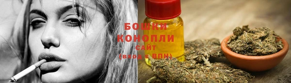 сатива Карталы
