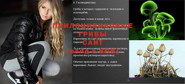 прущий лед Барнаул
