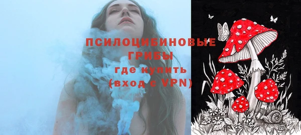 марки nbome Ессентукская